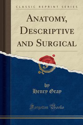 Anatomy, Descriptive and Surgical (Classic Reprint) - Gray, Henry, M.D.