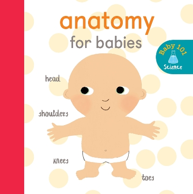 Anatomy for Babies - Litton, Jonathan