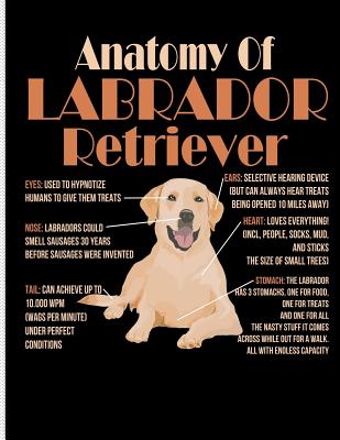 Anatomy of Labrador Retriever: Blank Lined Journal Notebook, 108 Pages, Soft Matte Cover, 8.5 X 11 - Notebooks, Mighty Maker
