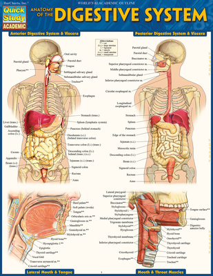 Anatomy of the Digestive System: Quickstudy Laminated Reference Guide - Perez, Vincent