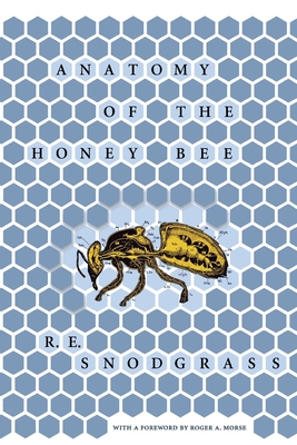 Anatomy of the Honey Bee - Snodgrass, R E, and Morse, Roger A (Foreword by)