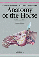Anatomy of the horse an illustrated text