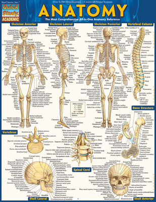 Anatomy - Reference Guide (8.5 X 11): A Quickstudy Reference Tool - Perez, Vincent