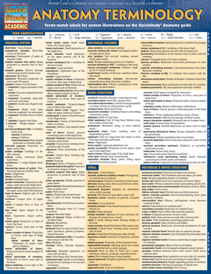 Anatomy Terminology - BarCharts Inc