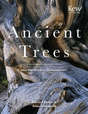 Ancient Trees: Trees That Live for 1,000 Years - Levington, Anna, and Lewington, Anna, and Parker, Edward