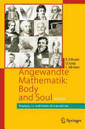Angewandte Mathematik: Body and Soul: Band 3: Analysis in Mehreren Dimensionen