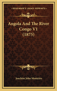 Angola and the River Congo V1 (1875)