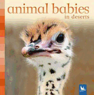 Animal Babies in Deserts