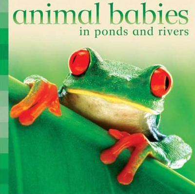 Animal Babies in Ponds and Rivers - Kingfisher Books