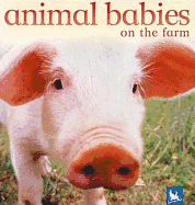 Animal Babies on the Farm