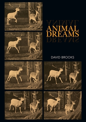 Animal Dreams - Brooks, David