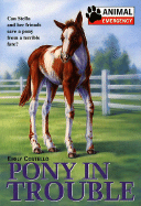 Animal Emergency #9: Pony in Trouble - Costello, Emily