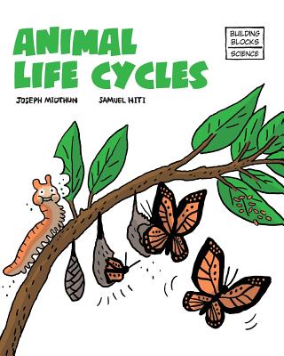 Animal Life Cycles - Midthun, Joseph
