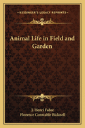 Animal life in field and garden