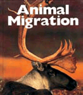 Animal Migration