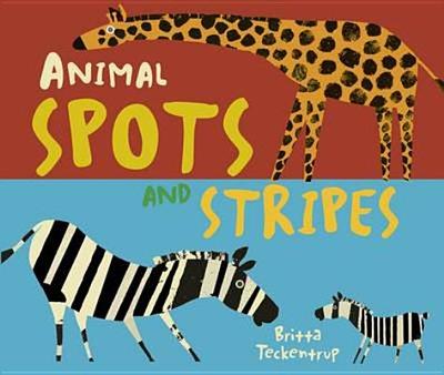 Animal Spots and Stripes - 