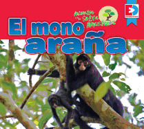 Animales de la Selva Amaz?nica -- El Mono Araa