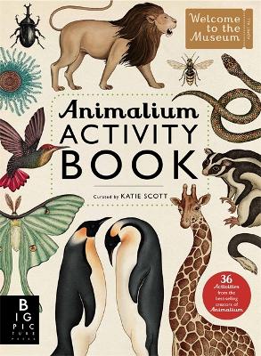 Animalium Activity Book - 