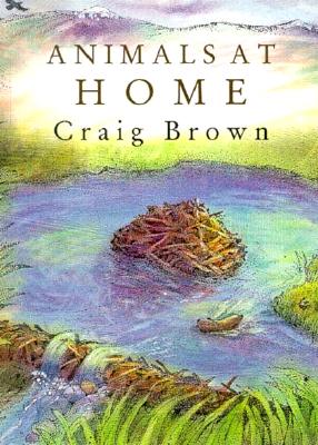 Animals at Home - Brown, Craig M