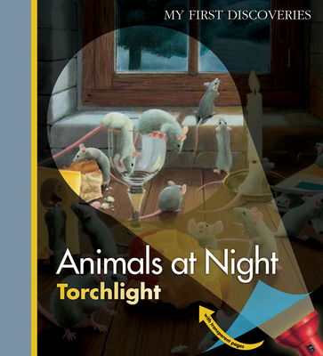 Animals at Night - 
