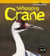 Animals in Danger: Whooping Crane  Paperback