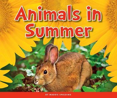 Animals in Summer - Spalding, Maddie