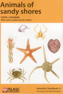 Animals of sandy shores - Hayward, Peter J