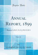 Annual Report, 1899, Vol. 12: Reports A, B, C, G, I, J, M, O, R, S (Classic Reprint)