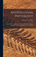 Antediluvian Phytology: Illustrated By A Collection Of The Fossil Remains Of Plants Peculiar To The Coal Formations Of Great Britain