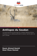 Antilopes du Soudan