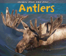 Antlers