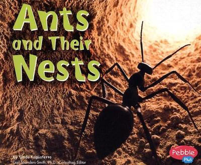 Ants and Their Nests - Tagliaferro, Linda