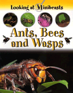 Ants, Bees and Wasps - Morgan, Sally