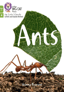 Ants: Phase 4 Set 2