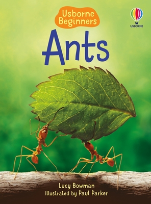 Ants - Bowman, Lucy