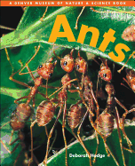 Ants