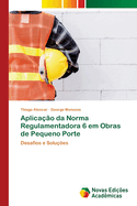 Aplicao da Norma Regulamentadora 6 em Obras de Pequeno Porte