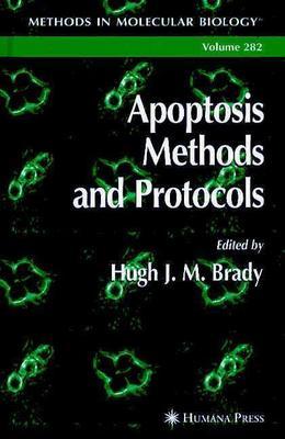 Apoptosis Methods and Protocols - Brady, Hugh J M (Editor)