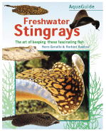 AquaGuide to Freshwater Stingrays