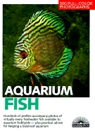 Aquarium Fish - Schliewen, Ulrich