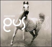 Arabian Horse - GusGus