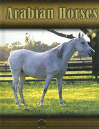 Arabian Horses - Stone, Lynn M