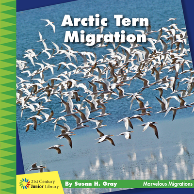 Arctic Tern Migration - Gray, Susan H