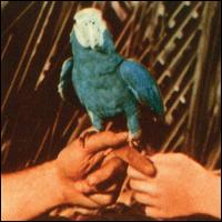 Are You Serious - Andrew Bird