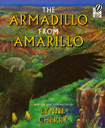 Armadillo from Amarillo - 