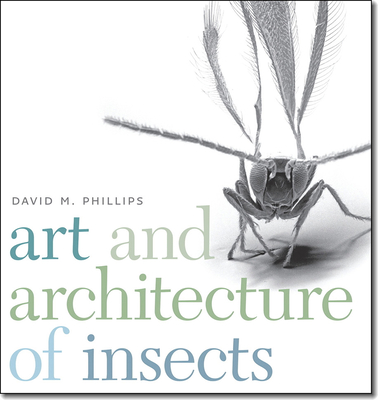 Art and Architecture of Insects - Phillips, David M