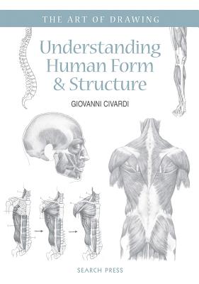 Art of Drawing: Understanding Human Form & Structure - Civardi, Giovanni