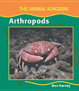 Arthropods (Animal)