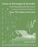 Asesor en Estrategias de Inversin: Tomo VII: Fondos de Inversin