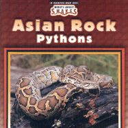 Asian Rock Pythons